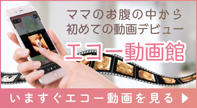 エコー動画館バナーHP_用 (1)